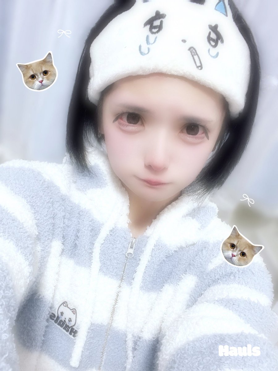 Hauls_official's tweet photo. ／
 【速報】PDはうき、ヤニ吉化。
＼

.　　   ｡ﾟﾟ･｡･ﾟﾟ,
. ⊂⊃      ﾟ 　　  ｡ﾟ
 .∧_∧　　ﾟ･｡･ﾟ☆彡
(⁎◕  ̫ ◕ )ββ   ⊂⊃
⊂⊂＿＿⊃    ∧_∧
｡ﾟﾟ･｡･ﾟﾟ  (⁎◕  ̫ ◕ )ββ
ﾟ, 　　  ｡ﾟ⊂⊂＿＿⊃
　ﾟ･｡･ﾟ

♡ねこ友募集中↓↓
https://t.co/bYYPmIU82W https://t.co/t2GMpoSqcQ