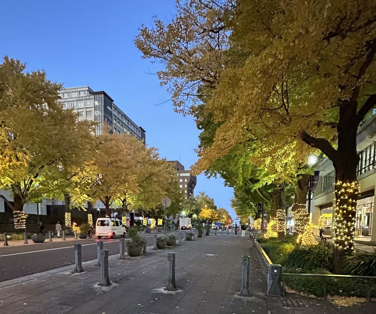 LOCAL BOOK STORE Kita.は、ハマスタ近くの日本大通り、神奈川県住宅供給公社の1Fに移転しました。新装オープン記念で「magic  hour」(11番)は、一部、セールいたします。銀杏並木とイルミネーションに彩られた「きたっ」にお寄りください。
