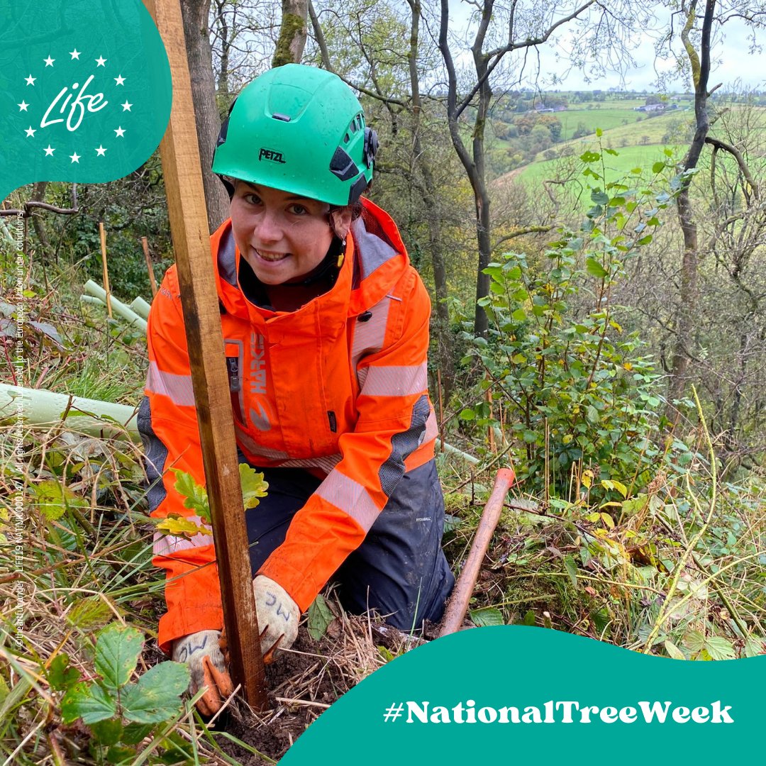 LIFE Programme (@lifeprogramme) on Twitter photo Restoring woodlands🌳
70,000+ trees planted since 2020 & we're just getting started🌿
This #NationalTreeWeek, the #LIFEProject <a href="/LIFEinRavines/">LIFEintheRavines</a> continues its mission of tree planting & woodland restoration across the East Midlands.
👉tco.li/vzmp3
#LIFEProgramme Restoring woodlands🌳
70,000+ trees planted since 2020 & we're just getting started🌿
This #NationalTreeWeek, the #LIFEProject <a href="/LIFEinRavines/">LIFEintheRavines</a> continues its mission of tree planting & woodland restoration across the East Midlands.
👉tco.li/vzmp3
#LIFEProgramme