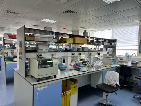 CancerMScShef's tweet photo. All of our students have a 6-month full time project working within our research laboratories.

Excellent preparation for a PhD and a career in healthcare or the pharmaceutical industry.

Join us!

https://t.co/lO6MpNpvse

#cancerbiology #masters #sheffield #cancer https://t.co/IKlwuMCrfb