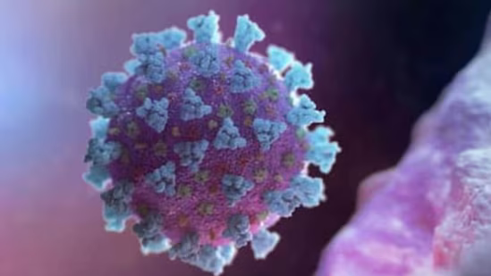 SAMRIDH IMPACT (@samridh_impact) on Twitter photo India faces one of the world's highest antimicrobial resistance rates, with projections of 2 million AMR-related deaths by 2050.
In a recent Hindustan Times article, Prof <a href="/drnavindang/">Dr. Navin Dang</a>, <a href="/ashwajitipe/">Ashwajit Singh</a>, and <a href="/vinainas/">vinaina suri</a> explore the role of public-private partnerships and innovations India faces one of the world's highest antimicrobial resistance rates, with projections of 2 million AMR-related deaths by 2050.
In a recent Hindustan Times article, Prof <a href="/drnavindang/">Dr. Navin Dang</a>, <a href="/ashwajitipe/">Ashwajit Singh</a>, and <a href="/vinainas/">vinaina suri</a> explore the role of public-private partnerships and innovations