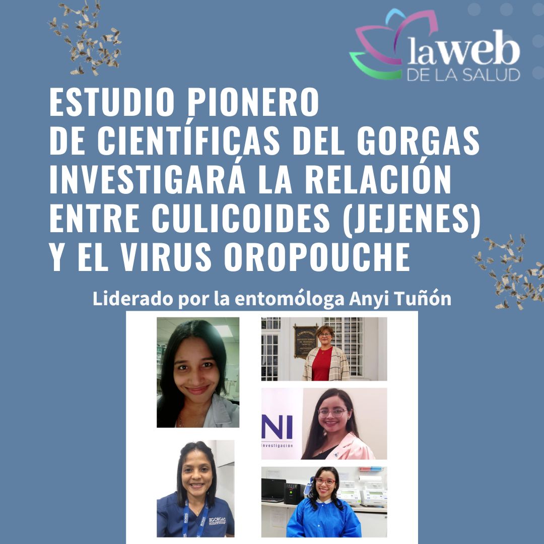 La web de la salud tweet media