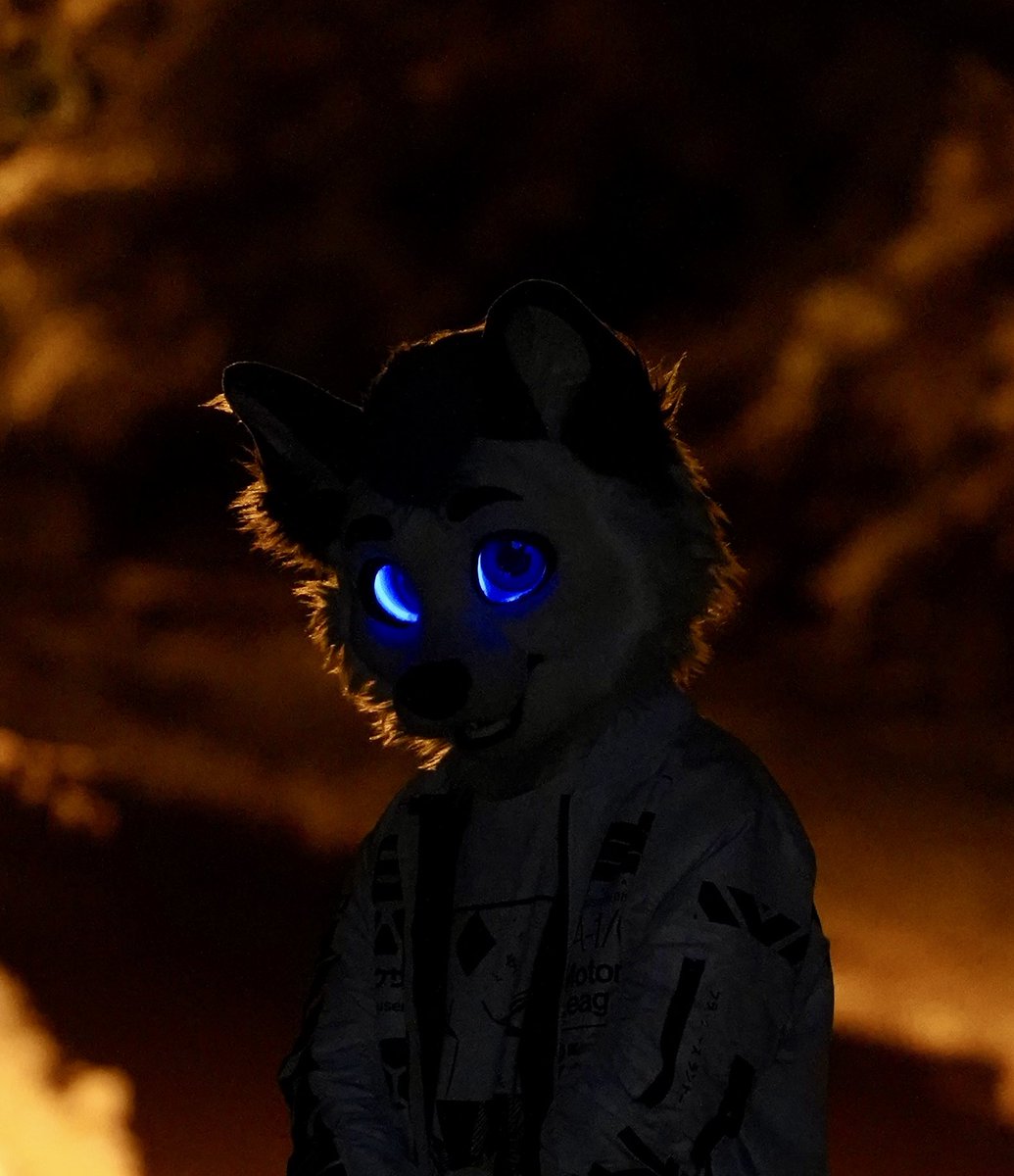 i am always watching.

#FursuitEveryday