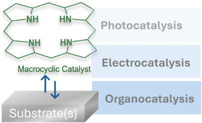Advances in the use of metal-free tetrapyrrolic macrocycles as catalysts beilstein-journals.org/bjoc/articles/…