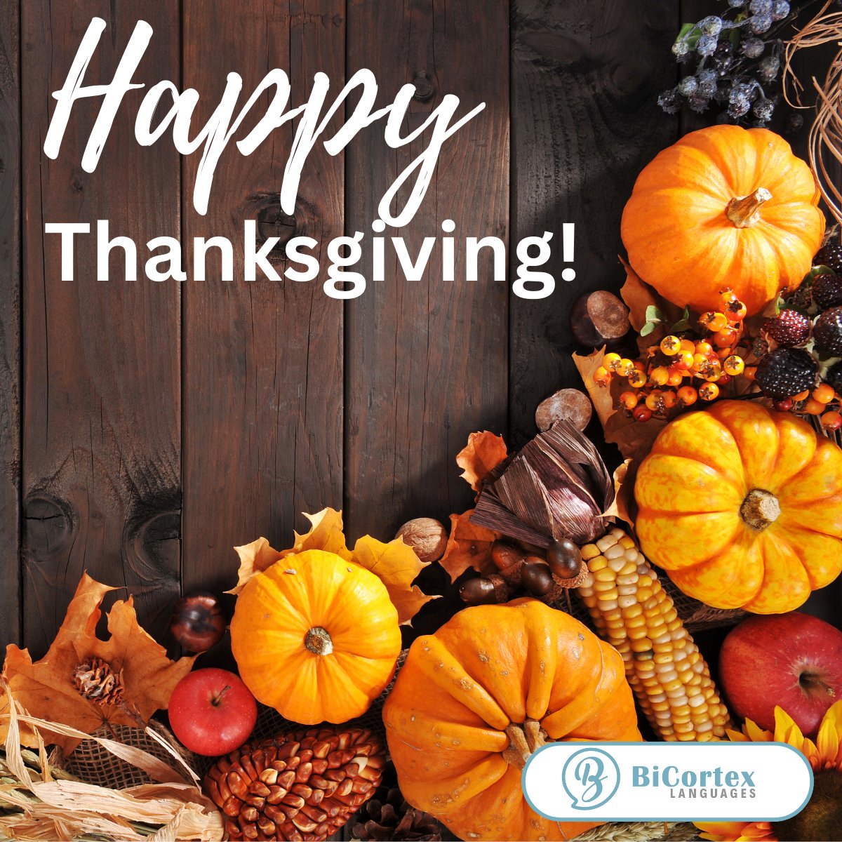 BicortexL's tweet photo. Wishing all of our American friends and clients a #happythanksgiving tomorrow! We are thankful for you!🦃🍁🍂

#gratitude #familymatters #thankfulgratefulblessed #thanksgiving2024 https://t.co/URNCIzmD1A