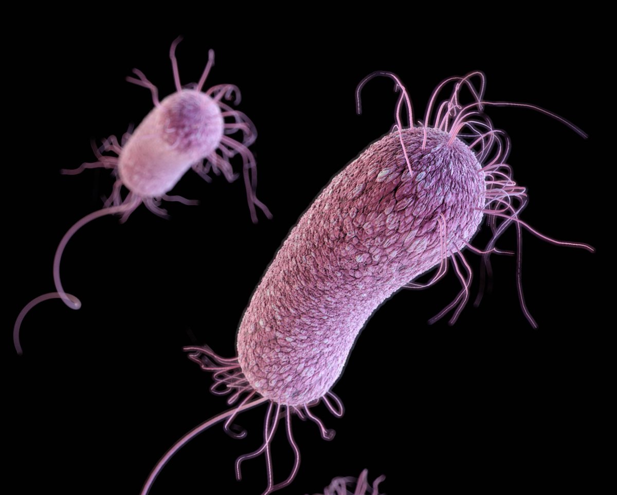 DZIF (inaktiv) (@dzif_) on Twitter photo 🧬 Forschende des DZIF entwickeln eine innovative Klasse von Antibiotika, die gezielt gegen arzneimittelresistente Bakterien wirkt.
Ein vielversprechender Ansatz im Kampf gegen multiresistente Infektionen.
👉Mehr Informationen: dzif.de/de/eine-innova…
#AMR <a href="/Helmholtz_HIPS/">Antibiotikaforschung (inaktiv)</a> 🧬 Forschende des DZIF entwickeln eine innovative Klasse von Antibiotika, die gezielt gegen arzneimittelresistente Bakterien wirkt.
Ein vielversprechender Ansatz im Kampf gegen multiresistente Infektionen.
👉Mehr Informationen: dzif.de/de/eine-innova…
#AMR <a href="/Helmholtz_HIPS/">Antibiotikaforschung (inaktiv)</a>