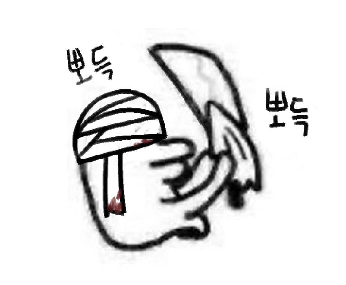 뉴쬬 (@newjjyo) on Twitter photo 