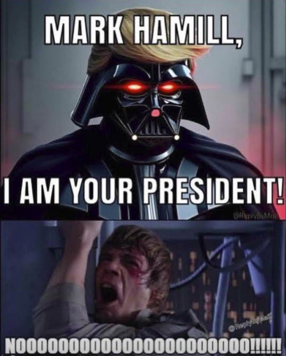 dzastertrooper's tweet image. 