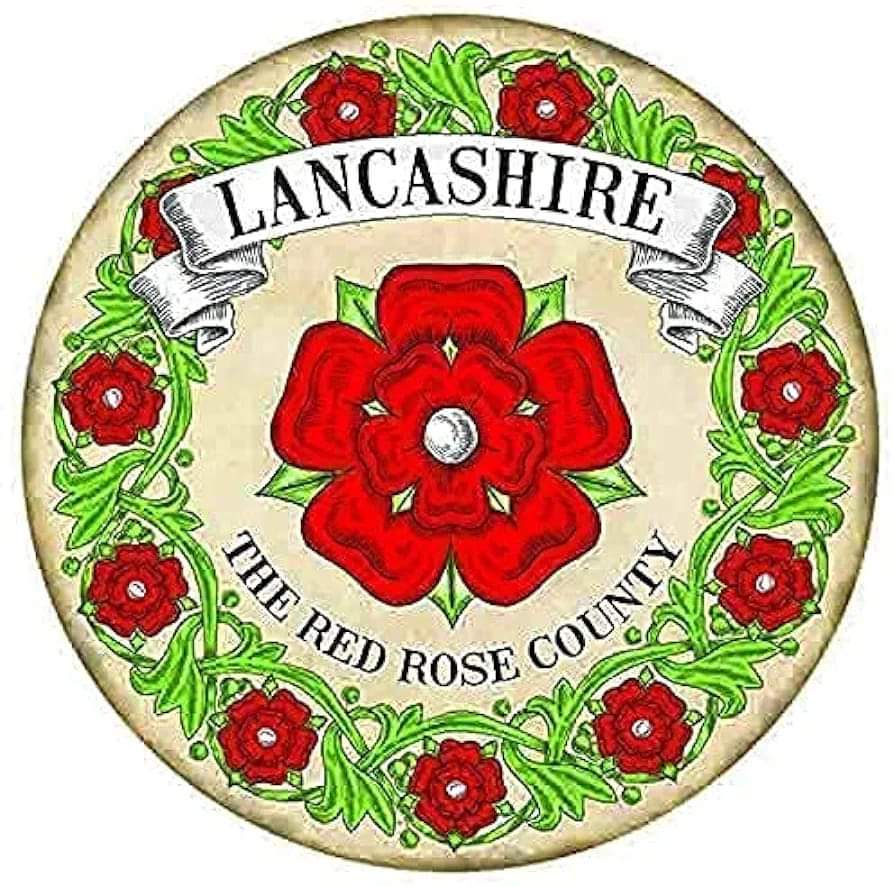 Aidy Neal tweet media