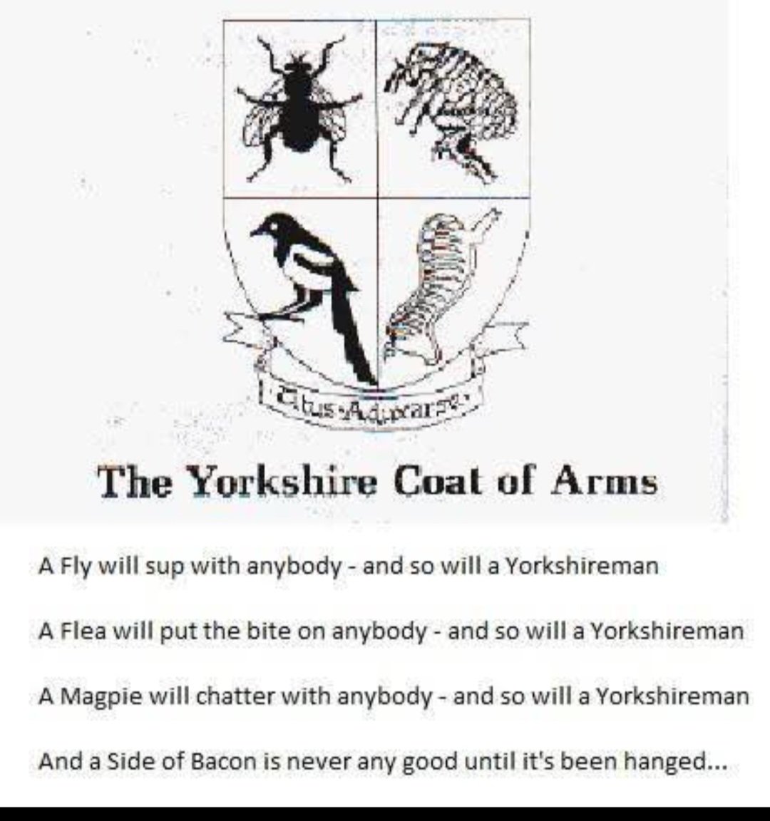 Aidy Neal tweet media