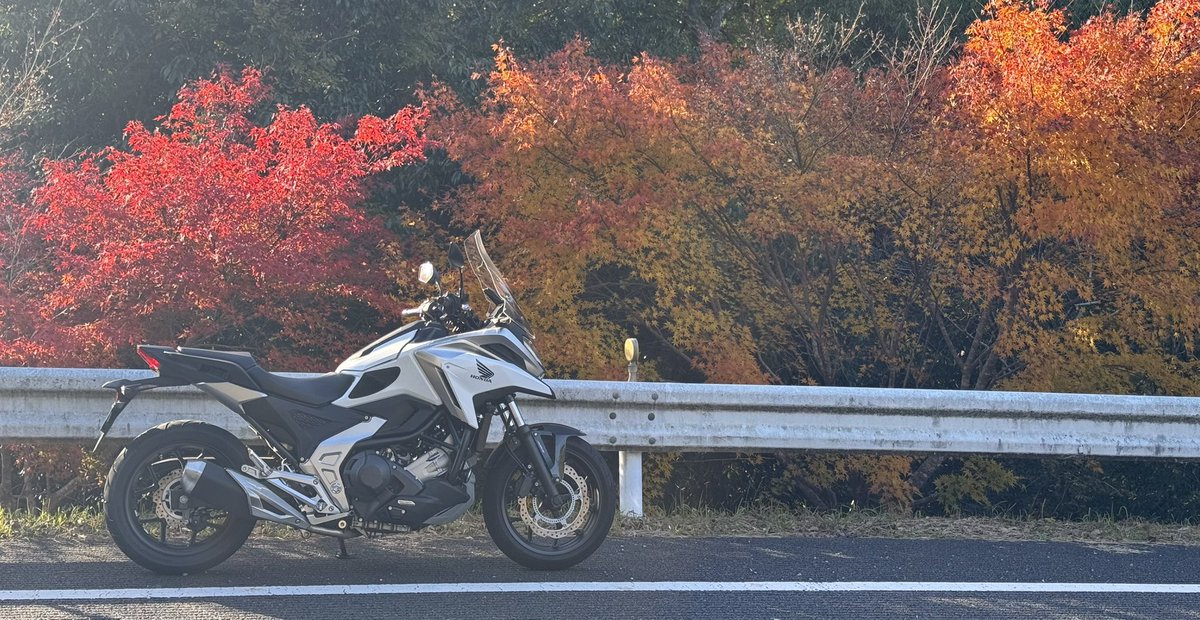 千葉房総のもみじロードにて紅葉狩りツーリング
去年も今年も暑かった時期が長かったので色付きがイマイチ。鮮やかな赤は少なく青紫っぽい🍁が多い気がする