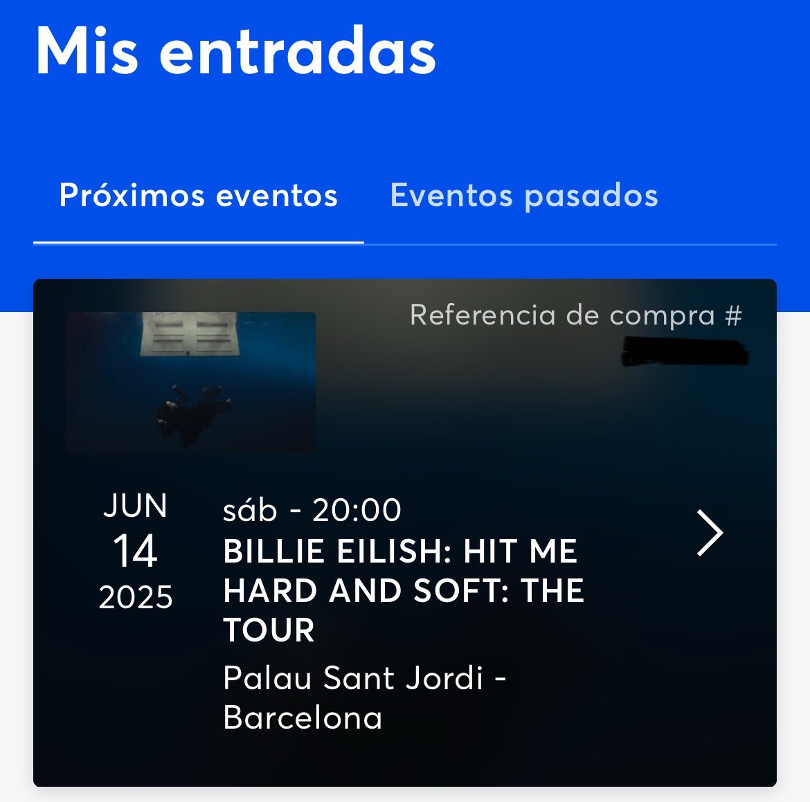 celooc's tweet image. Just imagine your Ticketmaster account look likes this.. June 2025 will be 🍯🍯

#BillieEilish x #LanaDelRey