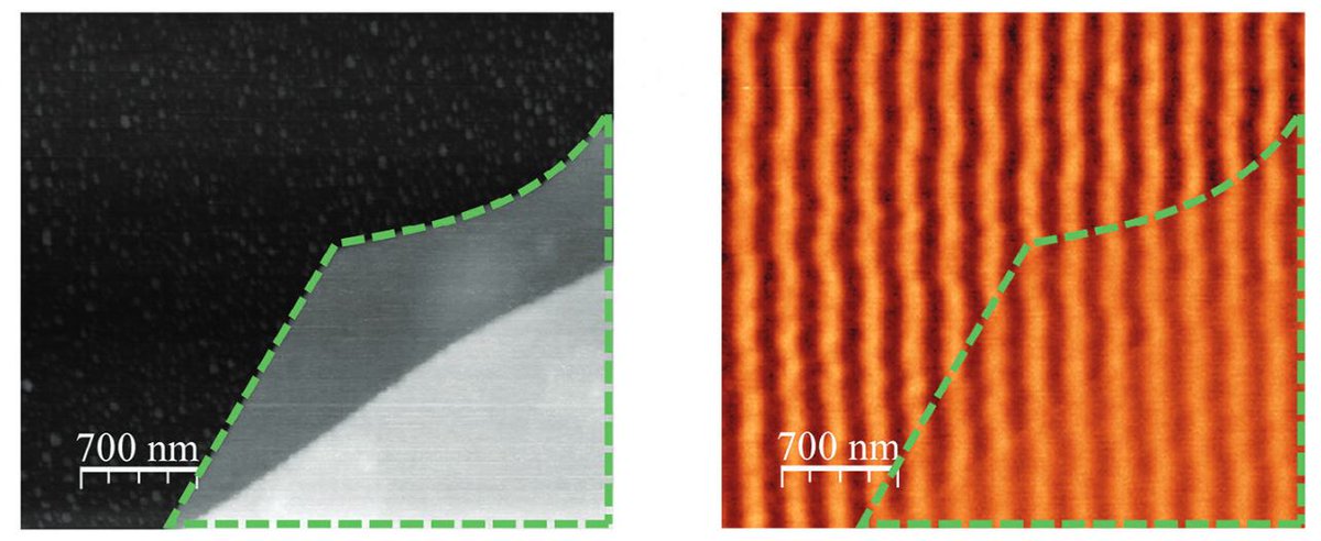 Pablo Ares tweet media