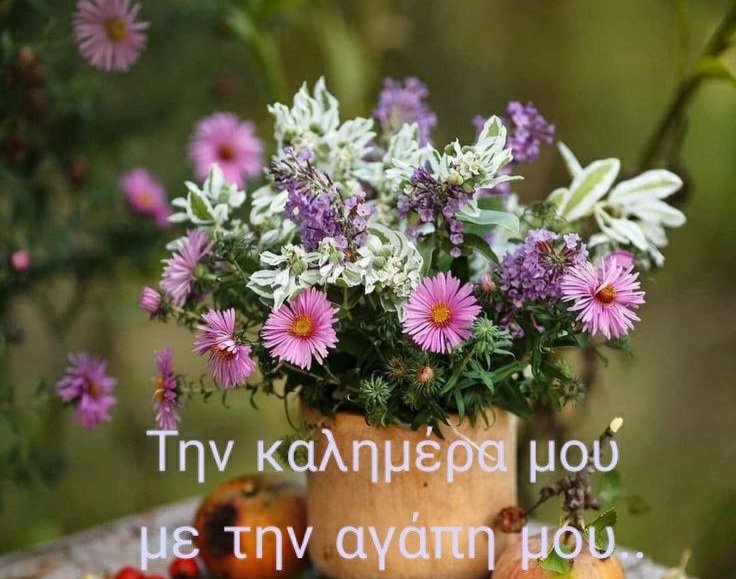tsje2POdFzdOXgb's tweet photo. @eirinilouka1 @KAPOL966 Καλημέρα και στις δύο φίλες μου..😍😍 https://t.co/Ljhxr1TRxV