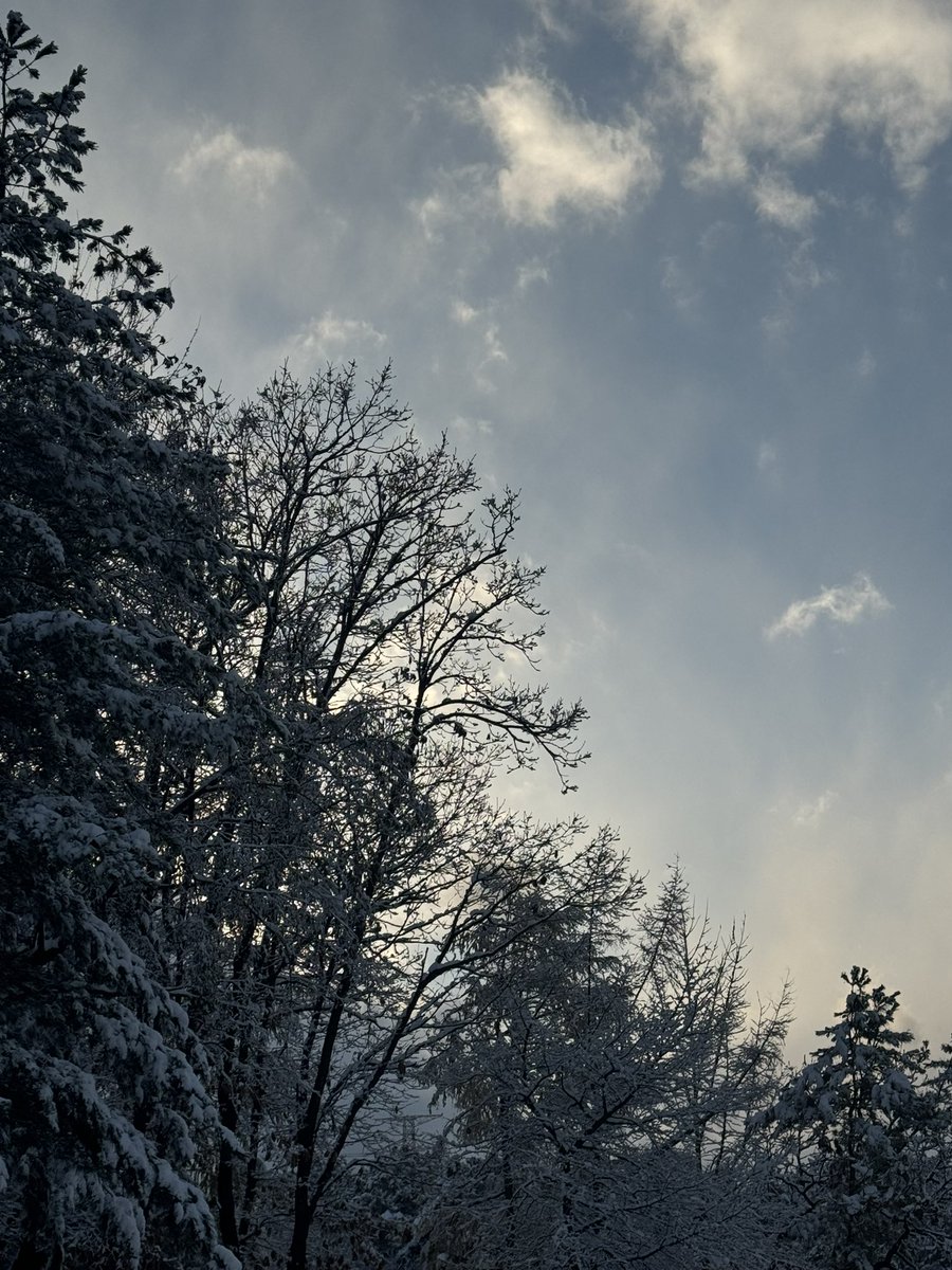 ASTRO 아스트로 tweet media