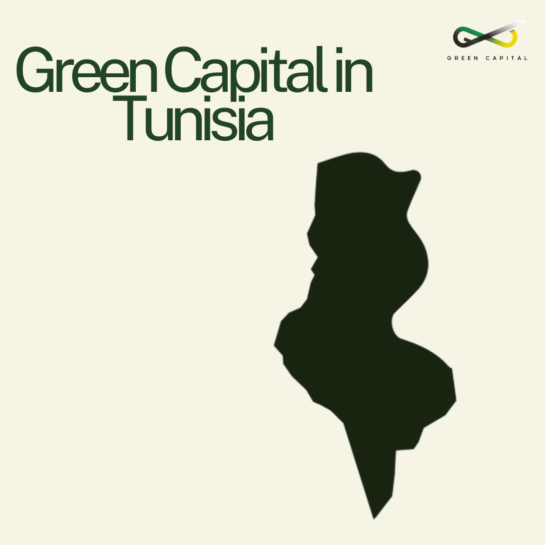 Green Capital is expanding globally by investing in key renewable energy projects. In Tunisia, we're developing wind farms in desert regions and using advanced solar tracking systems to boost photovoltaic panel efficiency, maximizing renewable energy output. 🤝🌱
