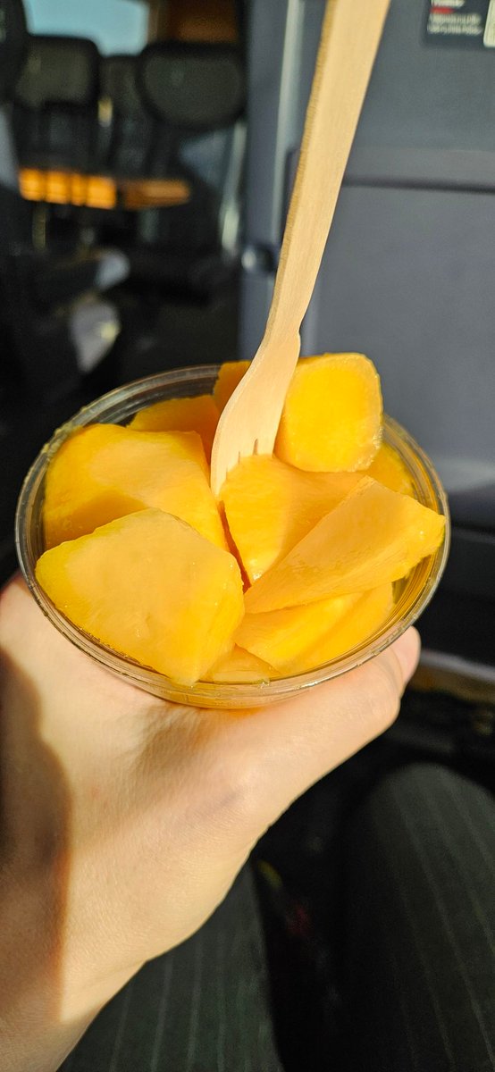 PD Dr. Barbara Schmidt tweet media