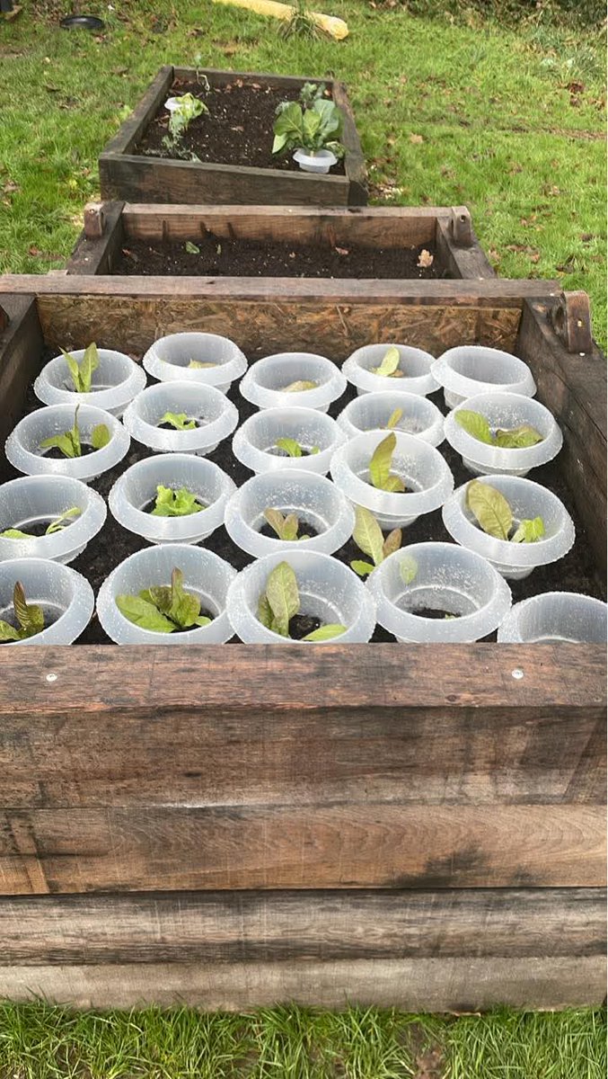 Amanda Davies tweet media