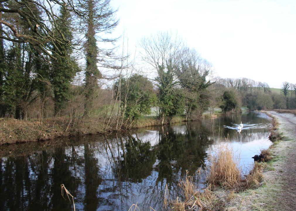 Time to celebrate our love for Lancashire...  🌹 #LancashireDay

What do you love about this very special county? We adore strolling from Tewitfield Marina along the Lancaster Canal, as it winds its way through the beautiful countryside. 🚶🚤🌳