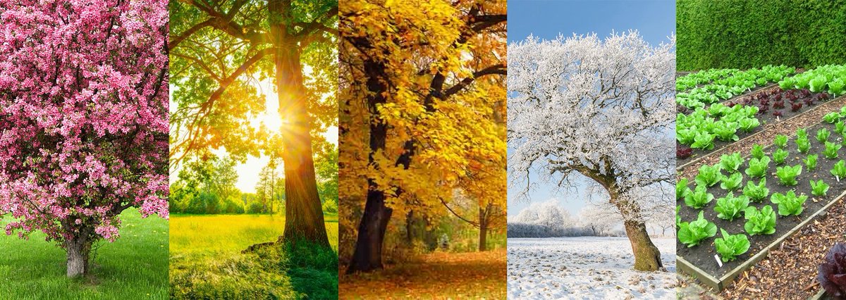 Voor vijf nieuwe straten in Wijk en Aalburg heeft de gemeente - heel logisch - de vier (4!) seizoenen als thema gekozen. De straten krijgen de namen Lentetuin, Zomertuin, Herfsttuin, Wintertuin en... Moestuin! #straatnieuws