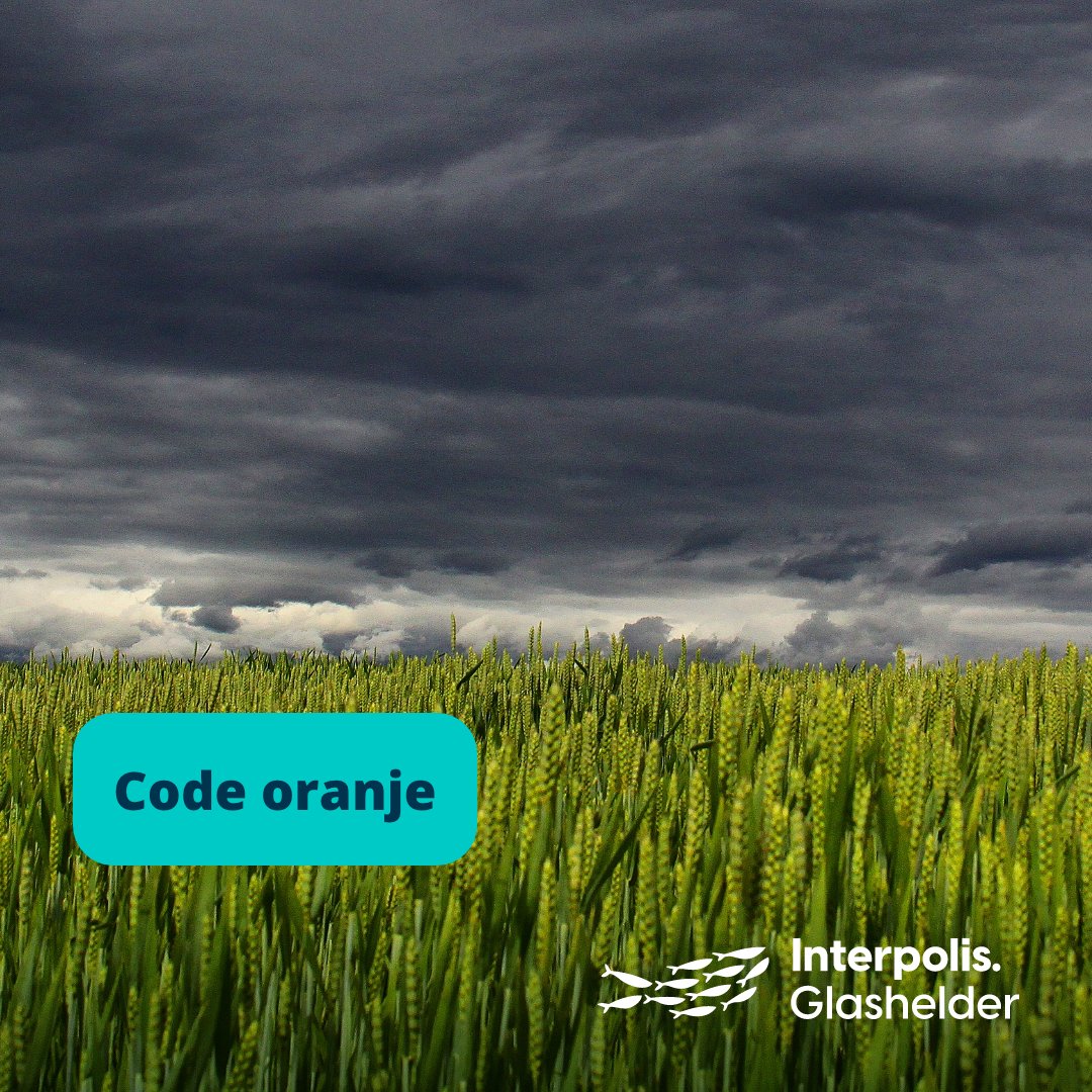 Voor ondernemers in de landbouw en veehouderij: Sluit de deuren van je stallen en gebouwen en verklein de kans op schade. Meer tips lees je hier ➡️interpolis.nl/dossiers/weer/…