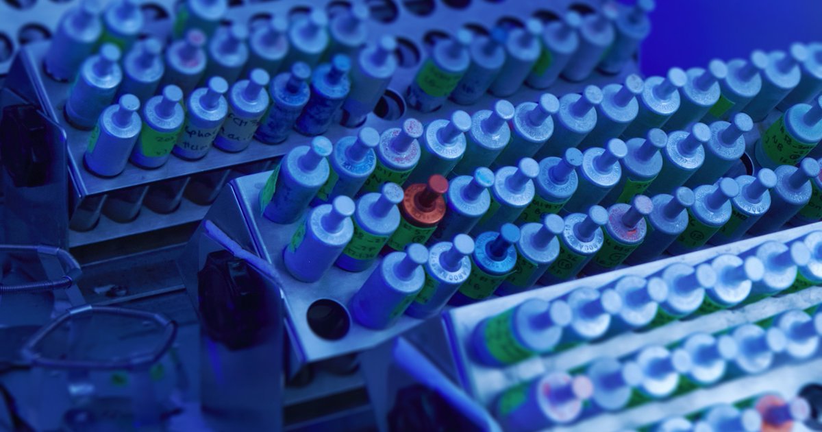 Max Planck Institute for Terrestrial Microbiology (@mpi_marburg) on Twitter photo 