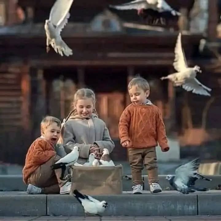 أحب الحنان، وأحب الشخص اللي يختار كلماته بعناية، وأحب منظر تشابك الأيادي، إسناد الرأس على كتف الآخر، أحب كل شيء يساهم في جعل هذه الحياة أجمل وأسهل وأسعد وألطف ... 🌸💙