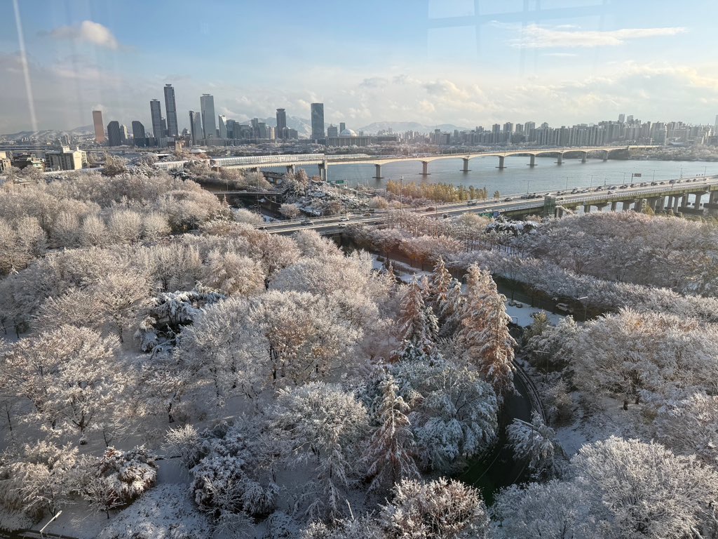 YoshiSahiSani's tweet image. Wooooooooooooooooooo
🐈🩵❄️☃️🌨️🐯

ILY YOSHI!!!!!

#YOSHI #요시 #ヨシ