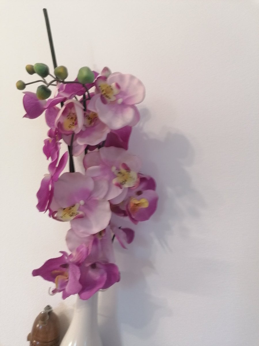 ZeljkaMamic's tweet photo. Da malo razvedrim oblačan dan🤗 https://t.co/UpbGUwYlXJ