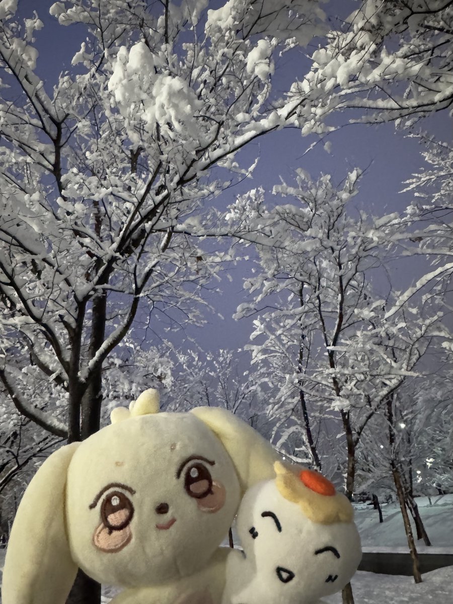risaaans8's tweet photo. ソウルの雪 凄かった！！！ https://t.co/QwH2b0vayK