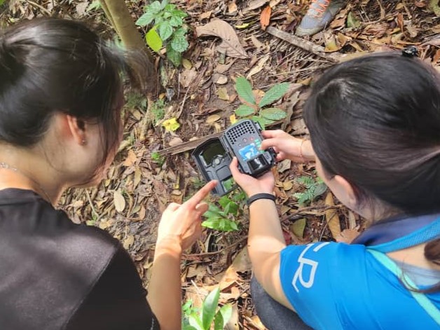 kpmg_malaysia's tweet image. This year, we partnered with SACF Society to protect Malayan tapirs. Over 90 volunteers dedicated 360+ hours to fieldwork, driving impactful conservation and safeguarding wildlife for future generations.

#KPMGinMalaysia #KPMGImpact