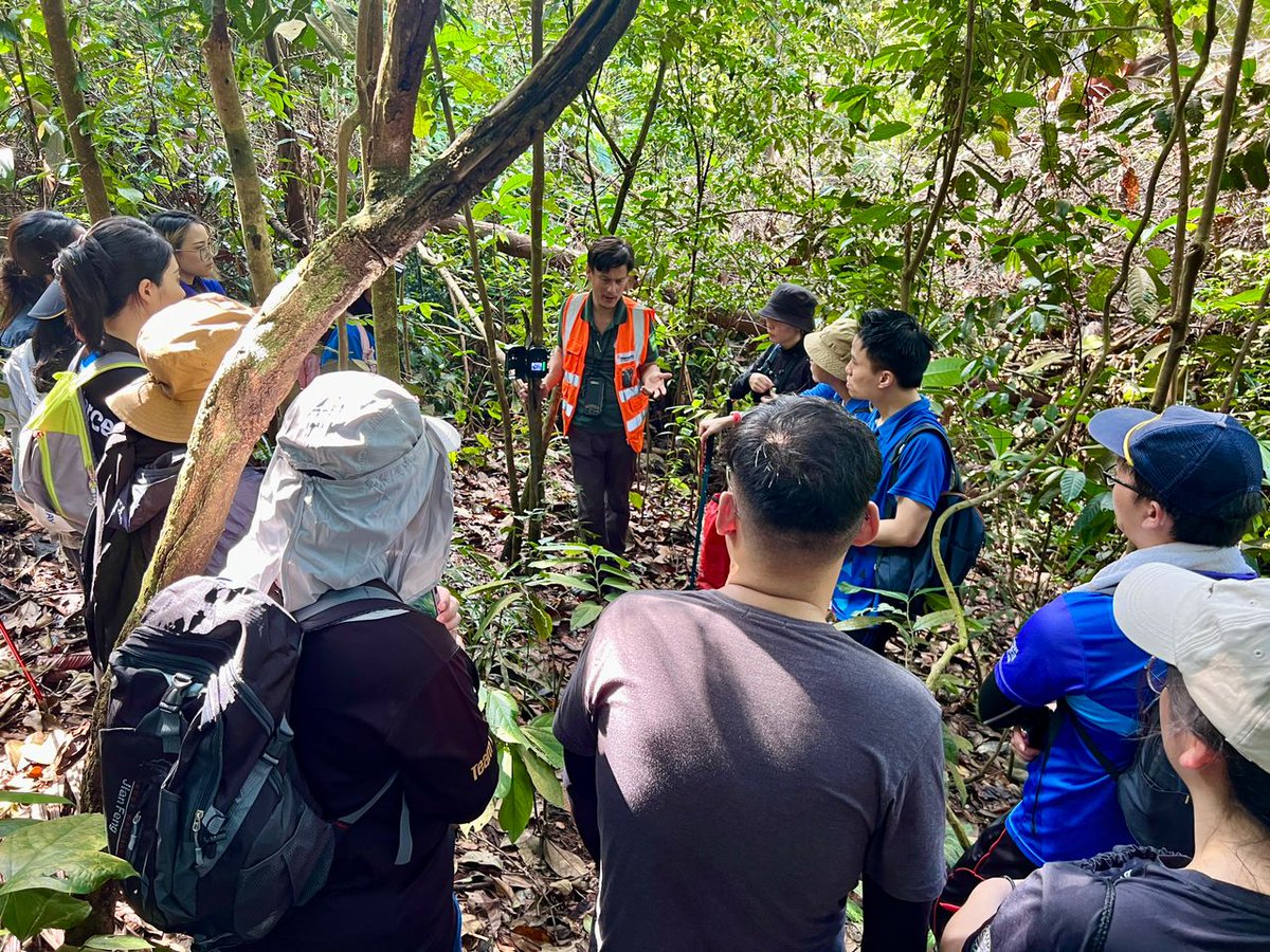 kpmg_malaysia's tweet image. This year, we partnered with SACF Society to protect Malayan tapirs. Over 90 volunteers dedicated 360+ hours to fieldwork, driving impactful conservation and safeguarding wildlife for future generations.

#KPMGinMalaysia #KPMGImpact