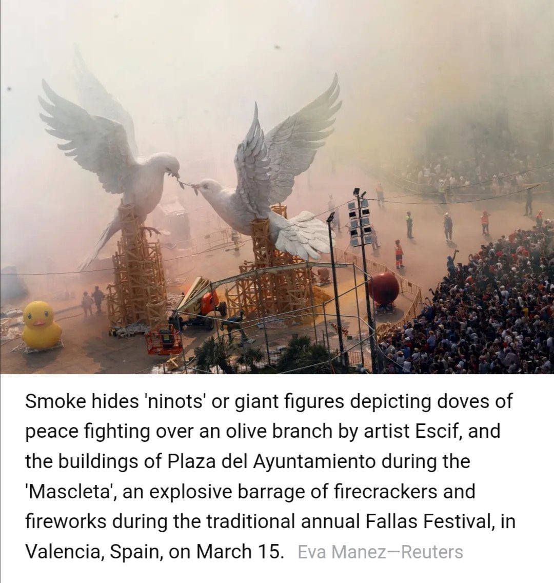 La fotógrafa <a href="/eva_manez/">Eva Mañez</a> va fer esta foto dels dos coloms barallant-se pel símbol de la pau que <a href="/escif_/">escif</a> va dissenyar i Pere Baenas va convertir en falla. Fou publicada per <a href="/Reuters/">Reuters</a> i és una de les 100 fotos de l’any per a la revista Time.