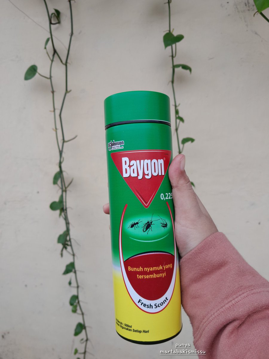 as you wish 🦋 tweet media