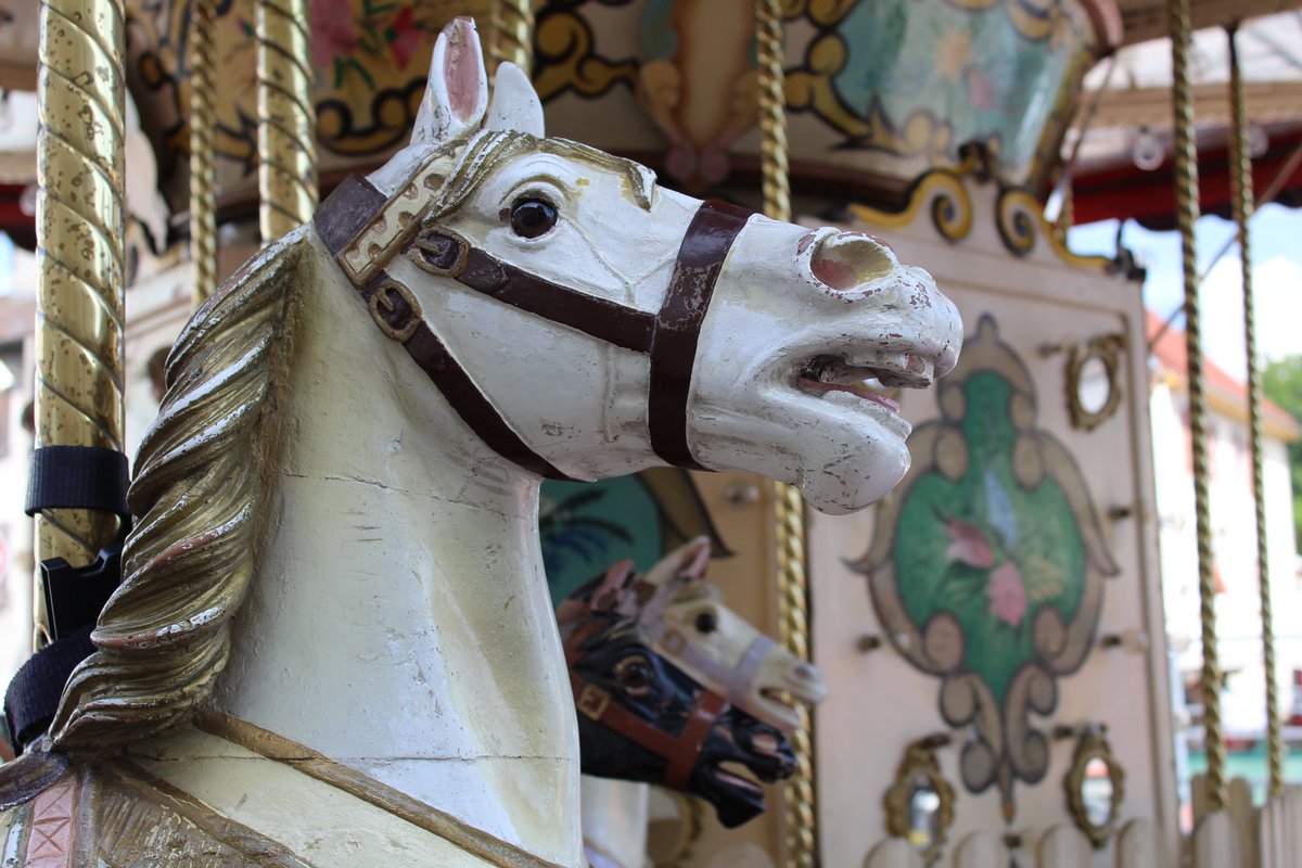 HarmSmit's tweet image. #november_kiek 
Een initiatief van @Tpzijl
#kermis