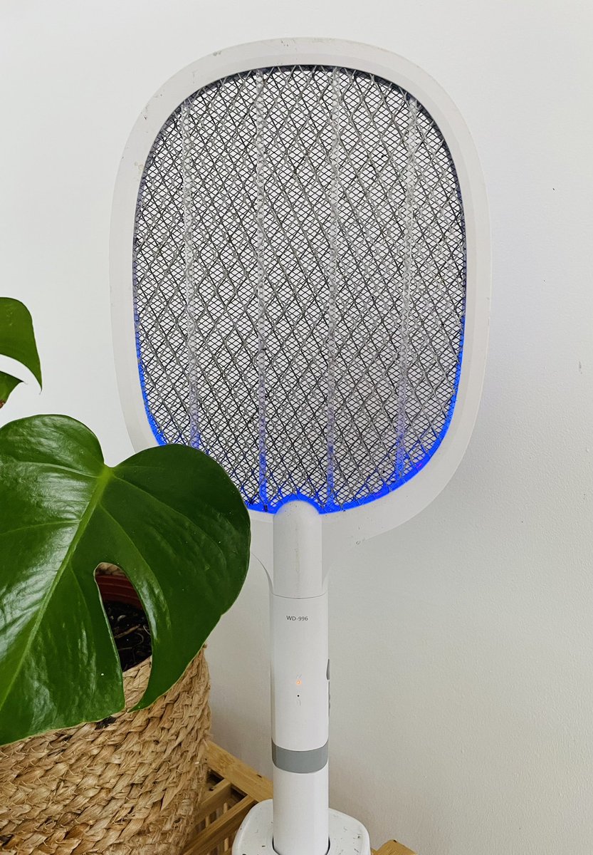 MP 974👨🏽‍🏫🌍⏳🏺🐈🐝✈️🇷🇪🇫🇷 tweet media