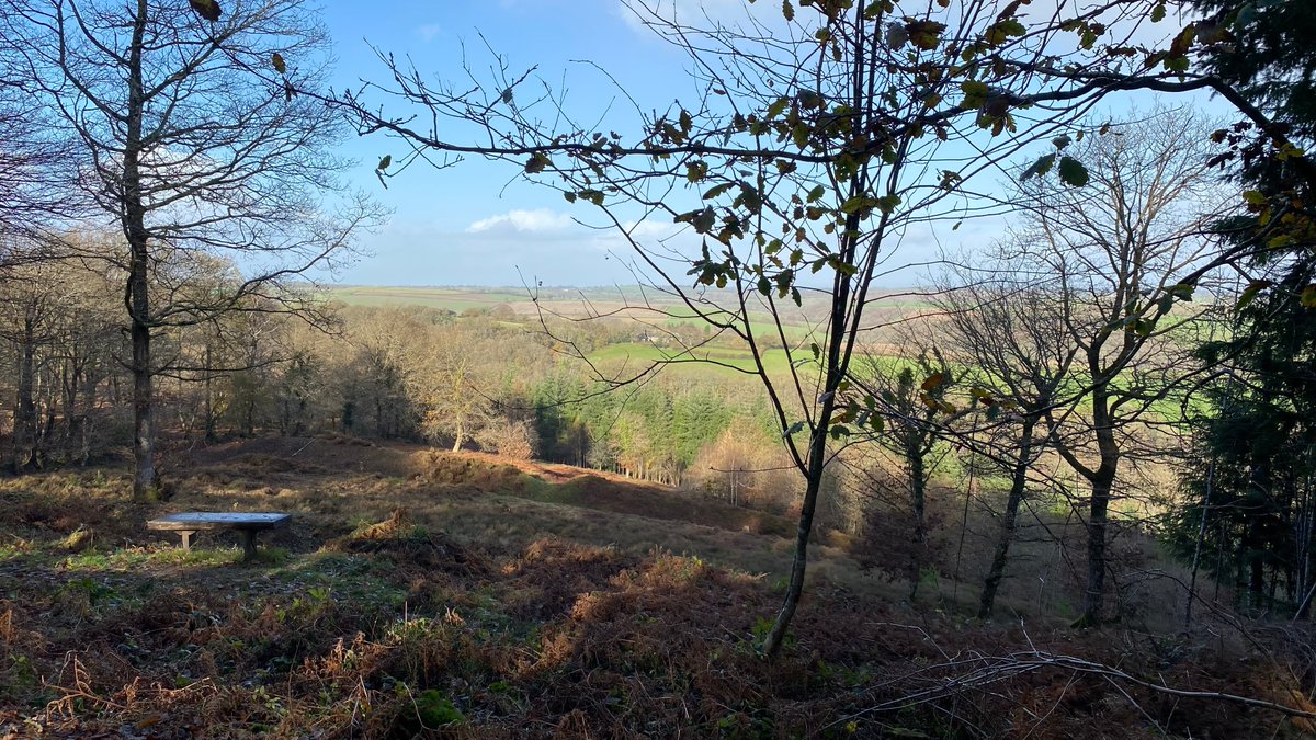 Valencia Communities Fund tweet media