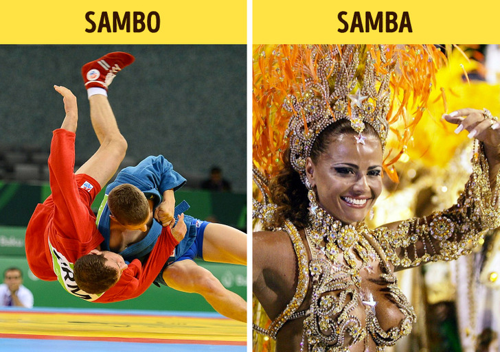 20 Different Things We’re Constantly Confusing 🧵A Thread 👇 1. Sambo vs ...