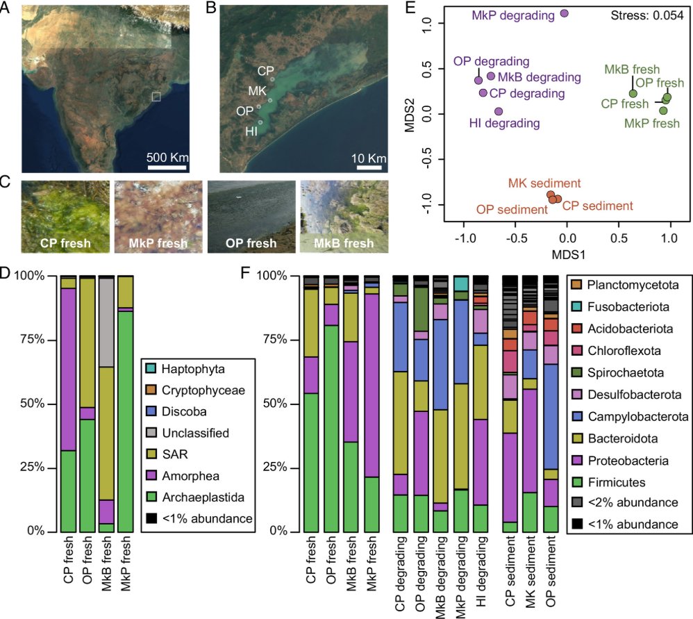 #midweekmicro🦠🔬

Metagenomic study of lake microbial mats reveals protease-inhibiting antiviral peptides from a core microbiome member

<a href="/PNASNews/">PNASNews</a> 

pnas.org/doi/10.1073/pn…