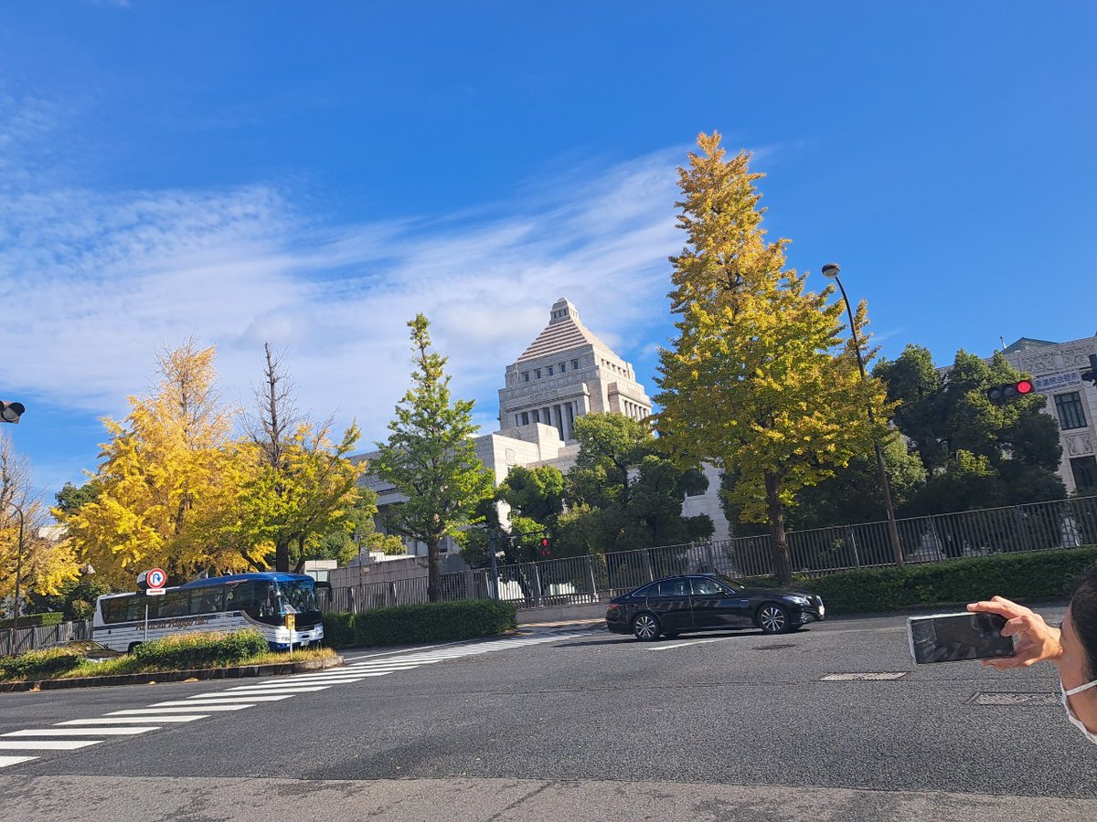 新婦人大阪北支部 tweet media