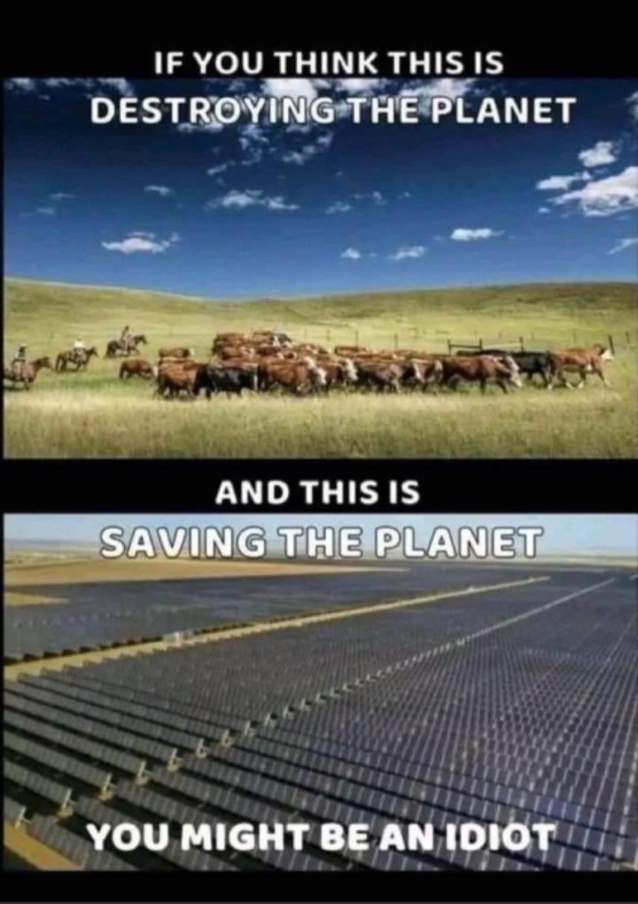 MonaKnows tweet media