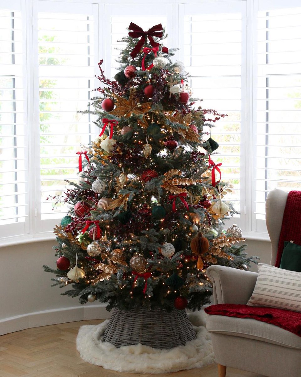 Shutterly Fabulous tweet media