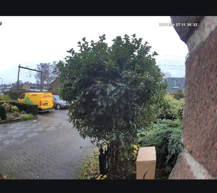 jinte ❀ tweet media