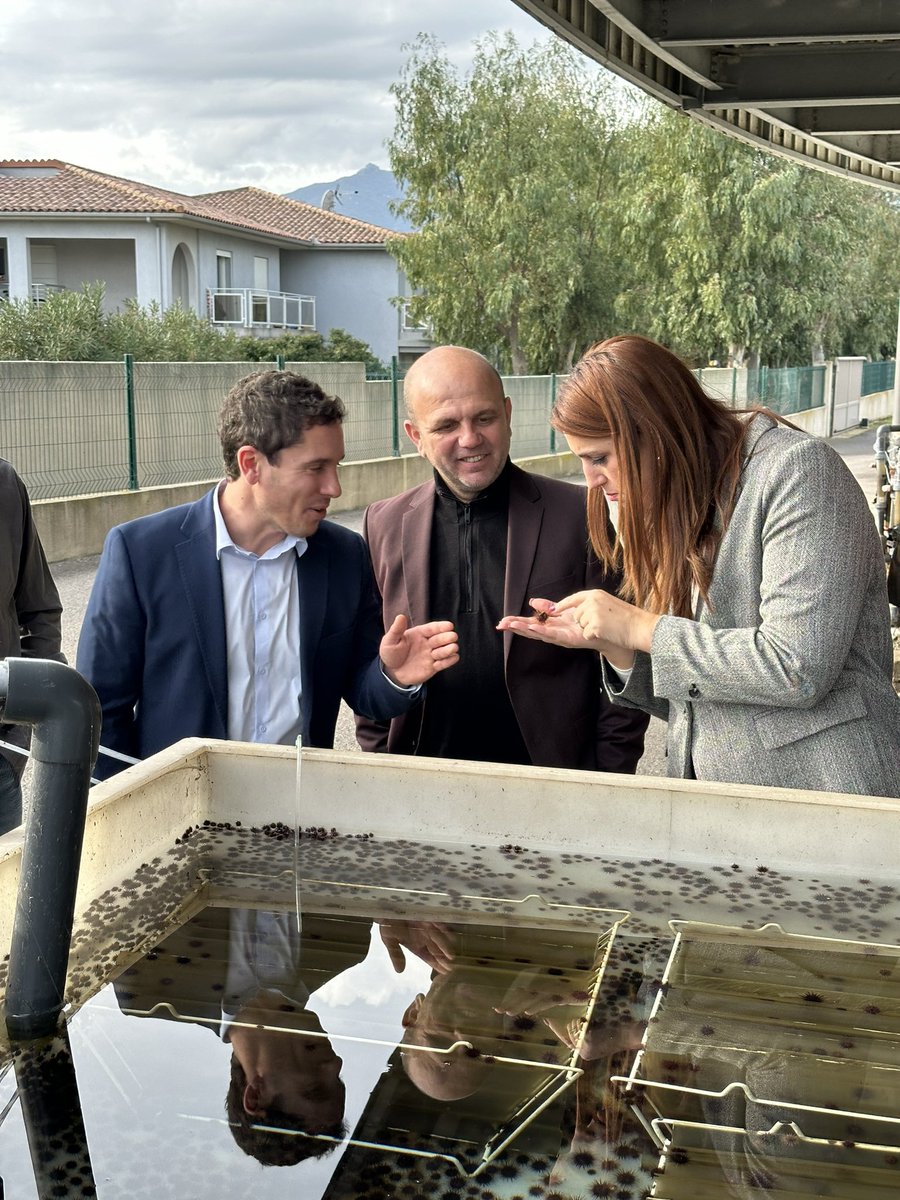 Università di Corsica tweet media