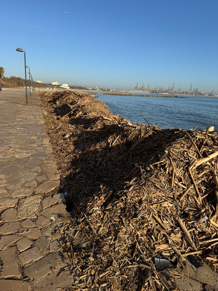 rosadg_'s tweet photo. ‼️BULO‼️

A Catalá se le ha olvidado la mitad de la playa de Pinedo. Ha limpiado solo la zona que ella ha visitado mientras que la basura sigue acumulada en buena parte del paseo. https://t.co/1W3bTH1oby
