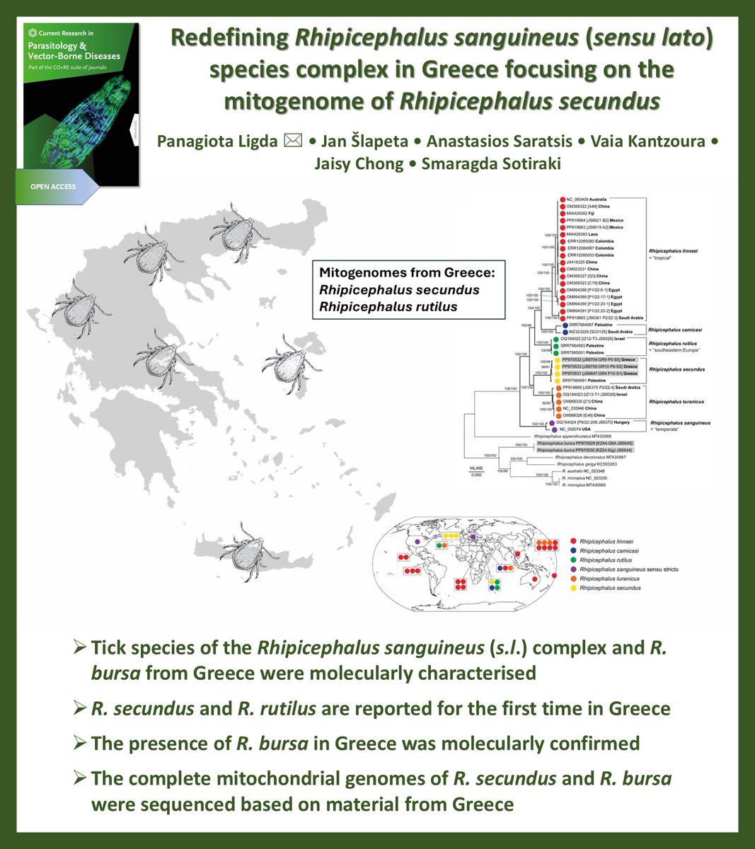 Aneta Kostadinova (@anetkostadinova) on Twitter photo Now in press in Current Research in Parasitology & Vector-Borne Diseases @CRPVBD
#OpenAccess
▶️sciencedirect.com/science/articl…
<a href="/JanSlapeta/">Prof Jan Slapeta</a> <a href="/Sydney_Vet/">Sydney Uni Vet Sci</a>
# Rhipicephalus sanguineus species complex #Molecular characterisation #Mitogenome #Greece Now in press in Current Research in Parasitology & Vector-Borne Diseases @CRPVBD
#OpenAccess
▶️sciencedirect.com/science/articl…
<a href="/JanSlapeta/">Prof Jan Slapeta</a> <a href="/Sydney_Vet/">Sydney Uni Vet Sci</a>
# Rhipicephalus sanguineus species complex #Molecular characterisation #Mitogenome #Greece