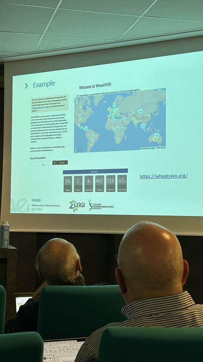 Anna Guillaumet tweet media