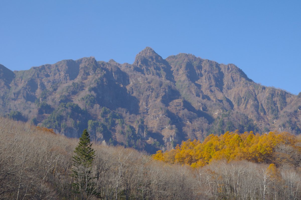 Moonstone tweet media