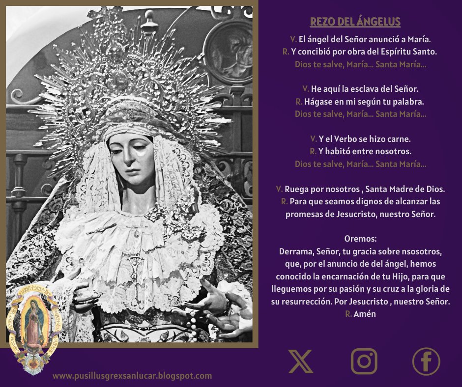 Pusillus_Grex's tweet photo. Bajo tu amparo nos acogemos, Santa Madre de Dios. No desoigas nuestras súplicas que te dirigimos en nuestras necesidades, antes bien, líbranos de todos los peligros, Virgen gloriosa y bendita.
#pusillusgrex #guadalupe #jara #soberanopoder https://t.co/piZmReDL9o