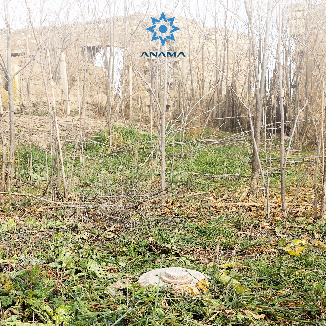 ANAMA_gov_az's tweet photo. Landmines and unexploded ordnance disrupt the balance of ecosystems, leading to the loss of countless animal and plant species. They poison the very core of nature, causing large-scale disasters that take decades to mitigate.
#ANAMA #MineContamination #EcoProblems #EcoThreats #EnvironmentalImpact